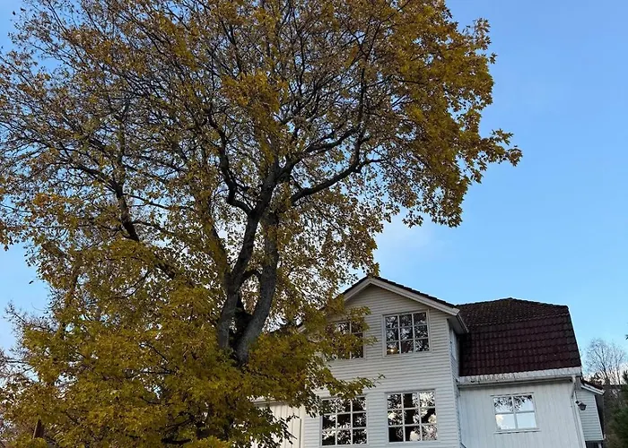 Charming And Spacious Wooden House Right In The Centre 아파트 트롬쇠