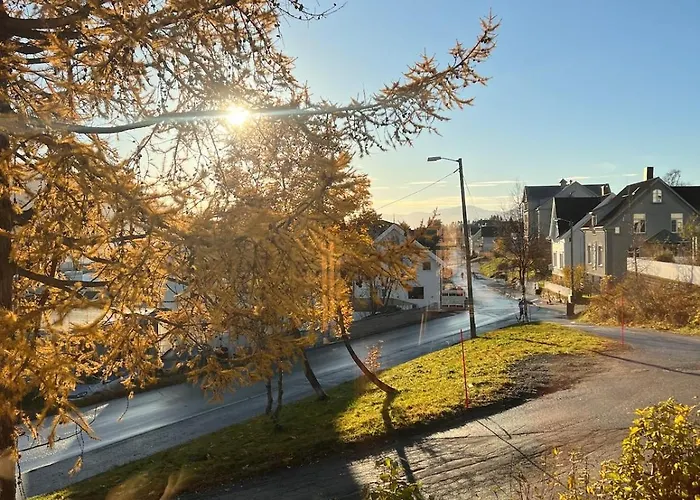 Charming And Spacious Wooden House Right In The Centre * 트롬쇠