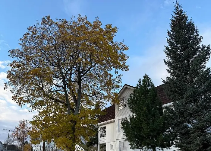 Charming And Spacious Wooden House Right In The Centre Tromsø