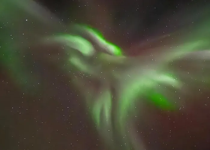 Charming And Spacious Wooden House Right In The Centre 트롬쇠
