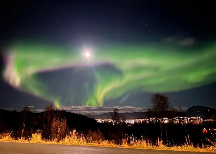 Charming And Spacious Wooden House Right In The Centre *