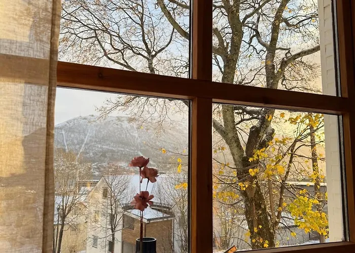 Charming And Spacious Wooden House Right In The Centre 아파트 트롬쇠